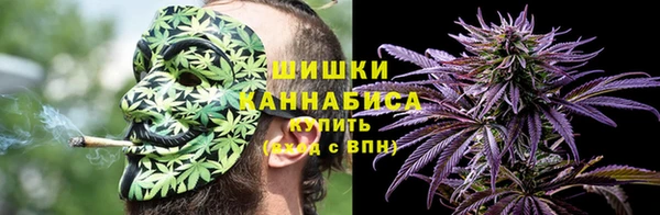 гашик Надым