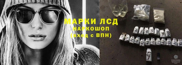 гашик Надым
