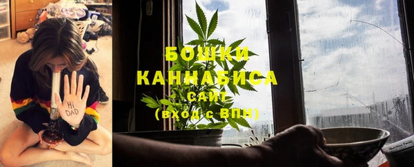 гашик Надым